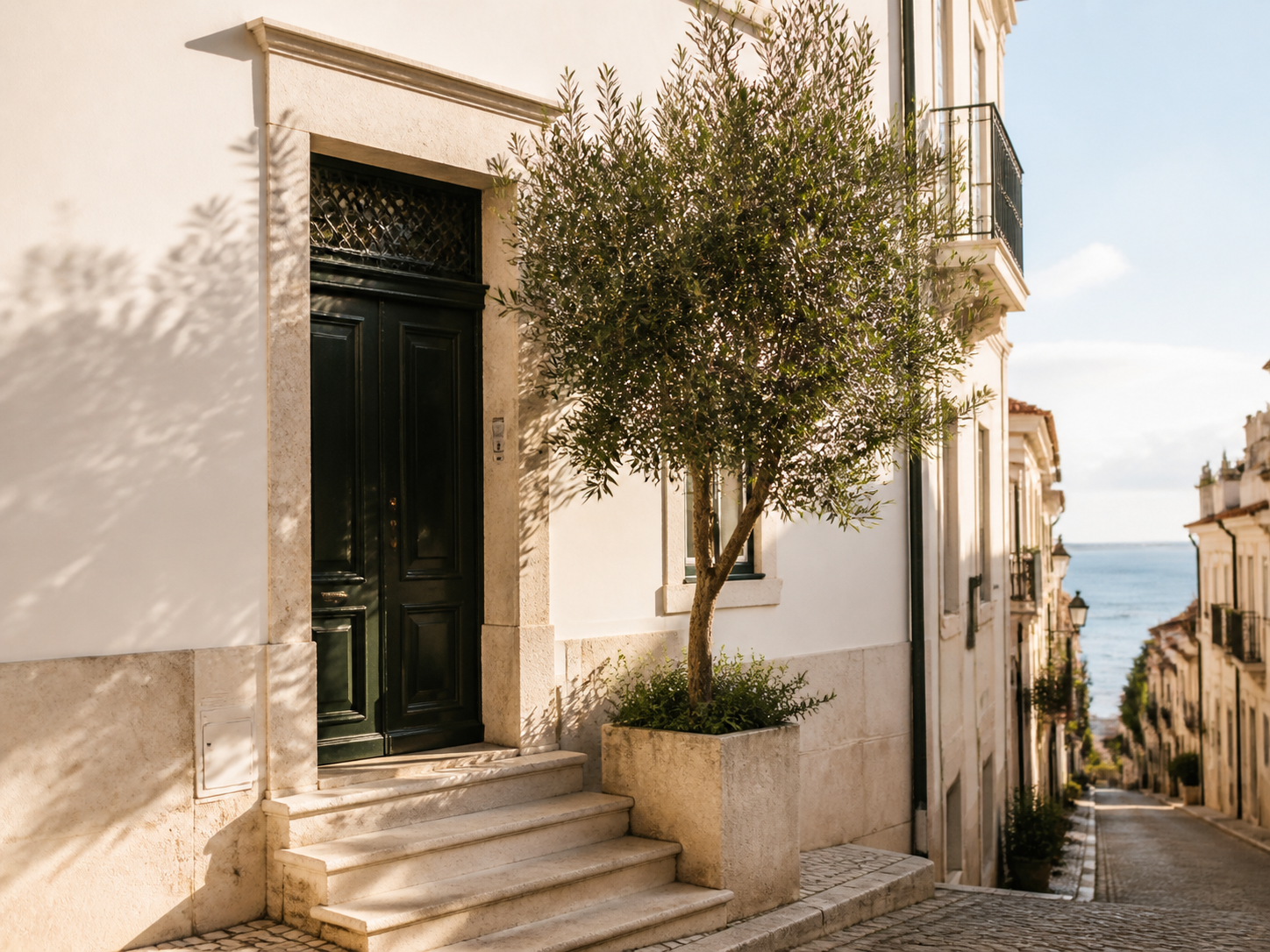 Lisbon townhouse entrance